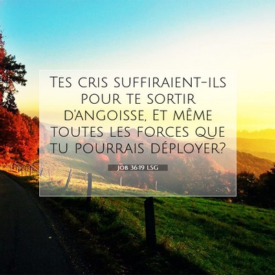 Job 36:19 LSG Image du verset biblique