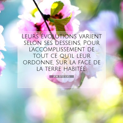 Job 37:12 LSG Image du verset biblique