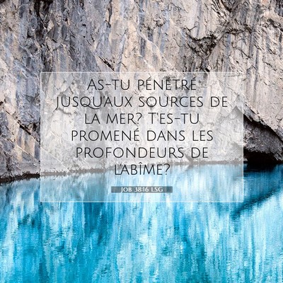 Job 38:16 LSG Image du verset biblique