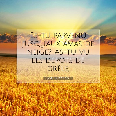 Job 38:22 LSG Image du verset biblique