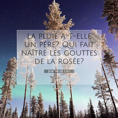 Job 38:28 LSG Image du verset biblique