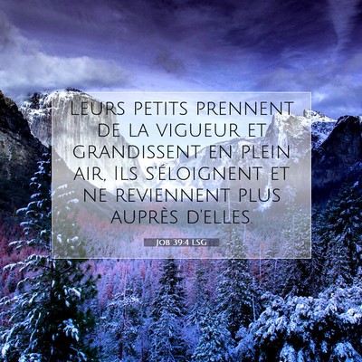 Job 39:4 Verset biblique expliqué