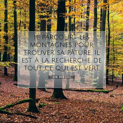 Job 39:8 Verset biblique expliqué