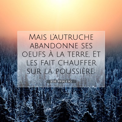 Job 39:14 Verset biblique expliqué