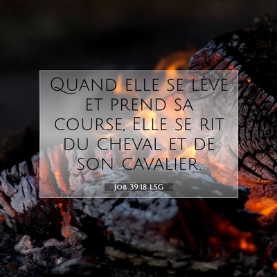 Job 39:18 Verset biblique expliqué