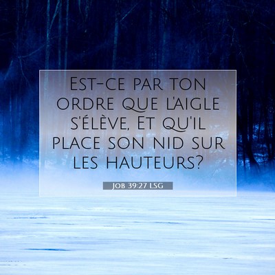 Job 39:27 Verset biblique expliqué