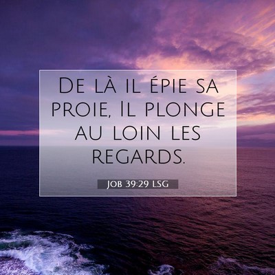 Job 39:29 Verset biblique expliqué