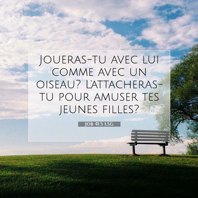 Job 41:5 Verset biblique expliqué