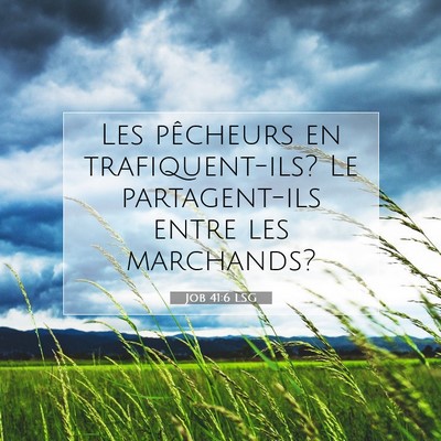 Job 41:6 Verset biblique expliqué