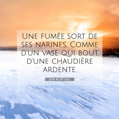 Job 41:20 Verset biblique expliqué