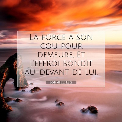 Job 41:22 Verset biblique expliqué