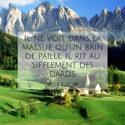 Job 41:29 Verset biblique expliqué