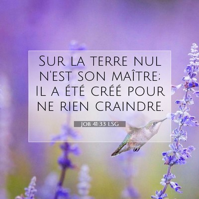 Job 41:33 Verset biblique expliqué