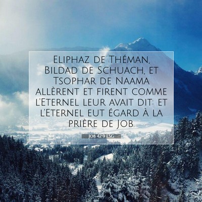 Job 42:9 Verset biblique expliqué