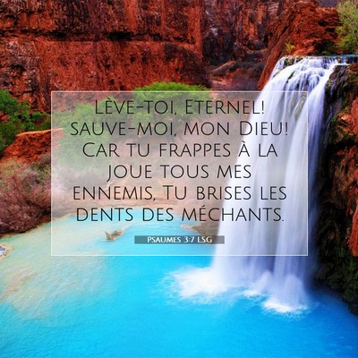 Psaumes 3:7 LSG Image du verset biblique