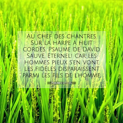 Psaumes 12:1 LSG Image du verset biblique