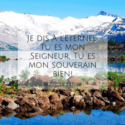 Psaumes 16:2 LSG Image du verset biblique