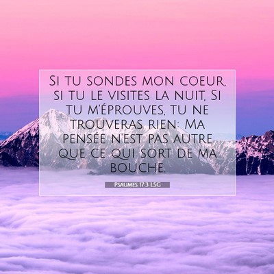 Psaumes 17:3 LSG Image du verset biblique