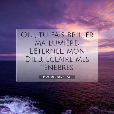 Psaumes 18:28 LSG Image du verset biblique