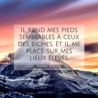 Psaumes 18:33 LSG Image du verset biblique