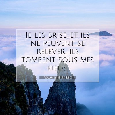 Psaumes 18:38 LSG Image du verset biblique