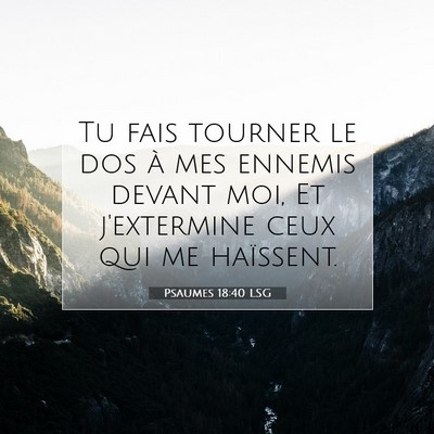 Psaumes 18:40 LSG Image du verset biblique