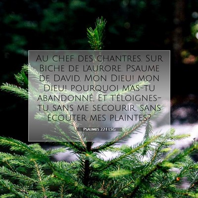 Psaumes 22:1 LSG Image du verset biblique