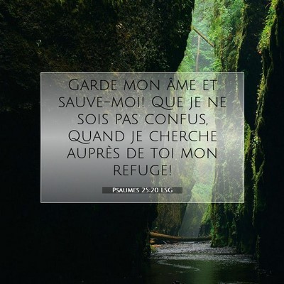 Psaumes 25:20 LSG Image du verset biblique