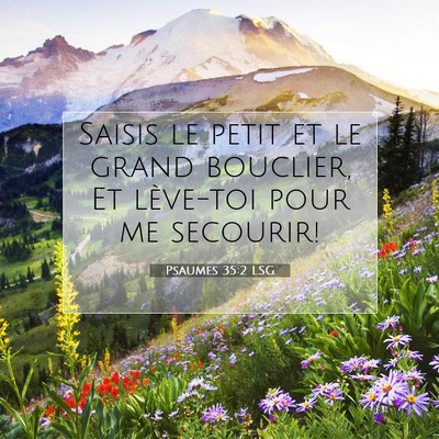 Psaumes 35:2 LSG Image du verset biblique