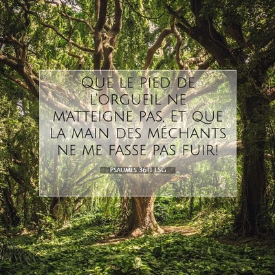 Psaumes 36:11 LSG Image du verset biblique