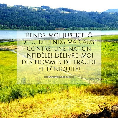 Psaumes 43:1 LSG Image du verset biblique