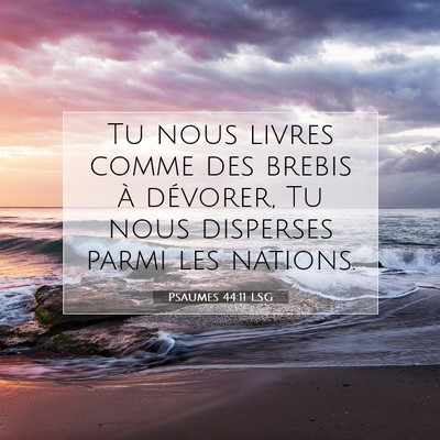 Psaumes 44:11 LSG Image du verset biblique