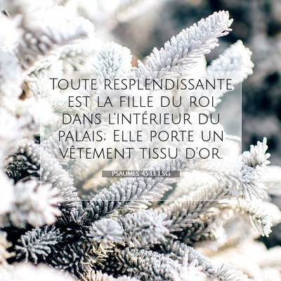 Psaumes 45:13 LSG Image du verset biblique