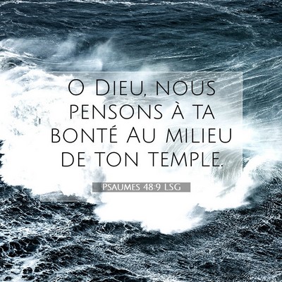 Psaumes 48:9 LSG Image du verset biblique