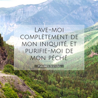 Psaumes 51:2 LSG Image du verset biblique