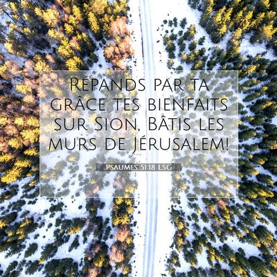 Psaumes 51:18 LSG Image du verset biblique