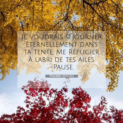 Psaumes 61:4 LSG Image du verset biblique