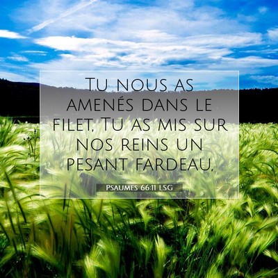 Psaumes 66:11 Verset biblique expliqué