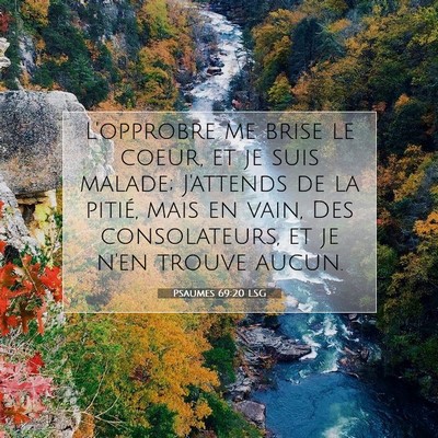 Psaumes 69:20 LSG Image du verset biblique