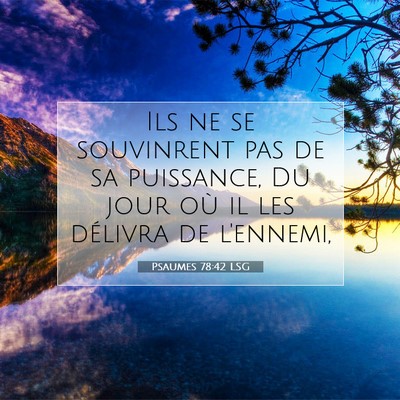 Psaumes 78:42 LSG Image du verset biblique