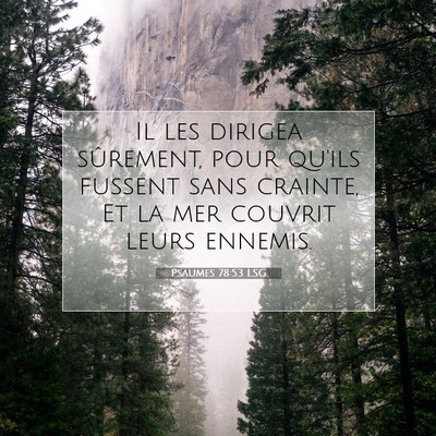 Psaumes 78:53 LSG Image du verset biblique