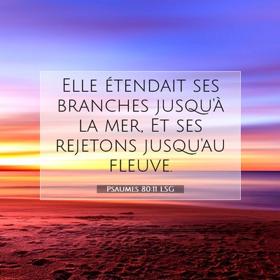 Psaumes 80:11 LSG Image du verset biblique