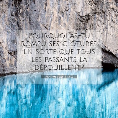 Psaumes 80:12 LSG Image du verset biblique