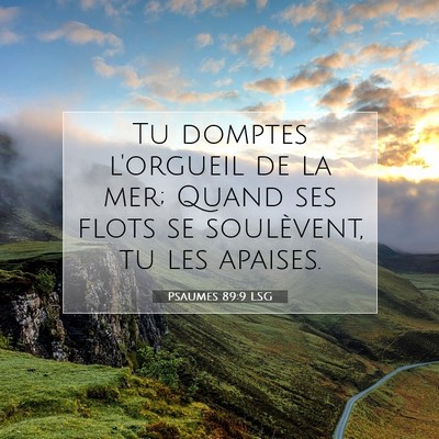 Psaumes 89:9 LSG Image du verset biblique