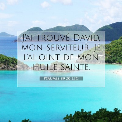 Psaumes 89:20 LSG Image du verset biblique