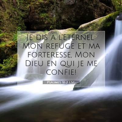 Psaumes 91:2 LSG Image du verset biblique