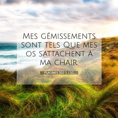 Psaumes 102:5 LSG Image du verset biblique