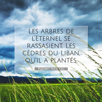 Psaumes 104:16 LSG Image du verset biblique