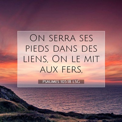 Psaumes 105:18 LSG Image du verset biblique