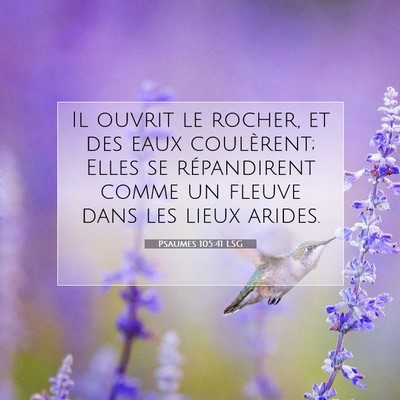 Psaumes 105:41 LSG Image du verset biblique